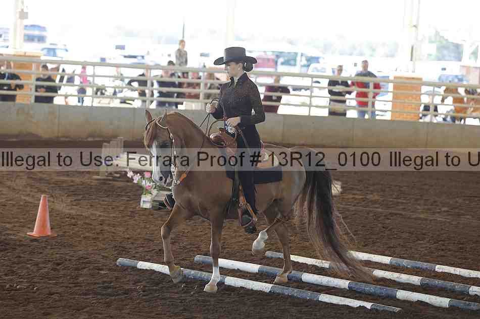 Proof 13r12_0100