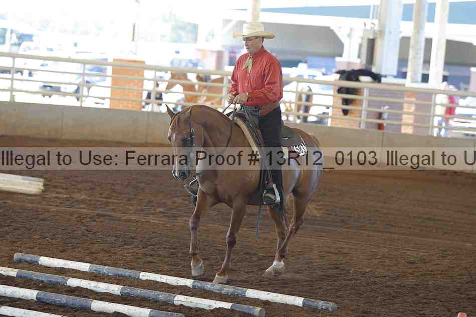 Proof 13r12_0103