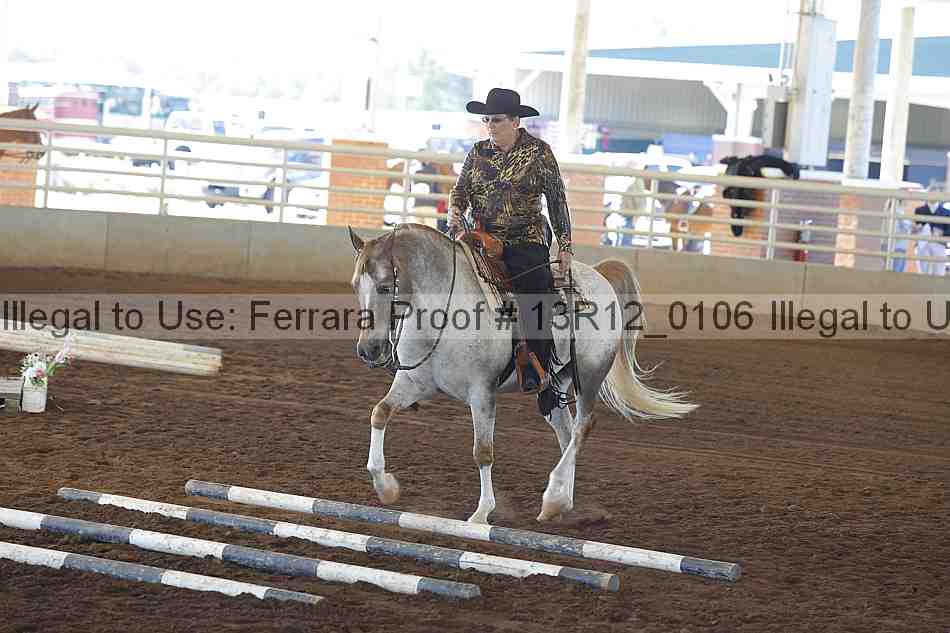 Proof 13r12_0106