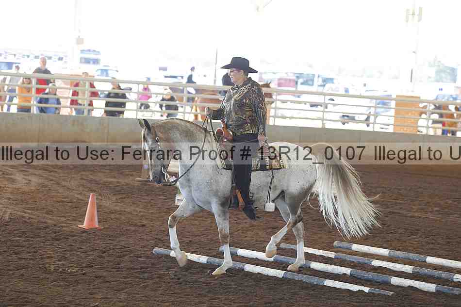 Proof 13r12_0107