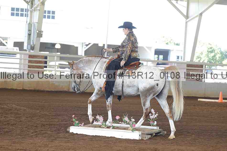 Proof 13r12_0108