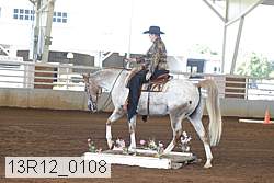13r12_0108 proof
