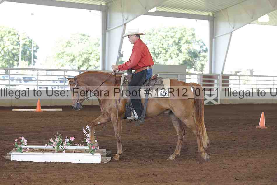 Proof 13r12_0111