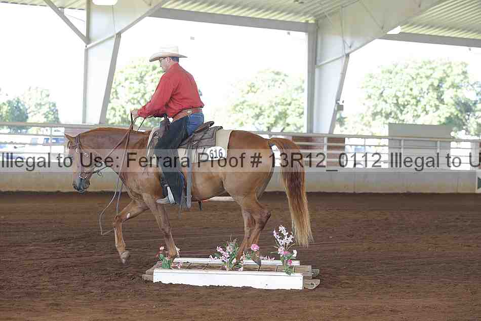 Proof 13r12_0112
