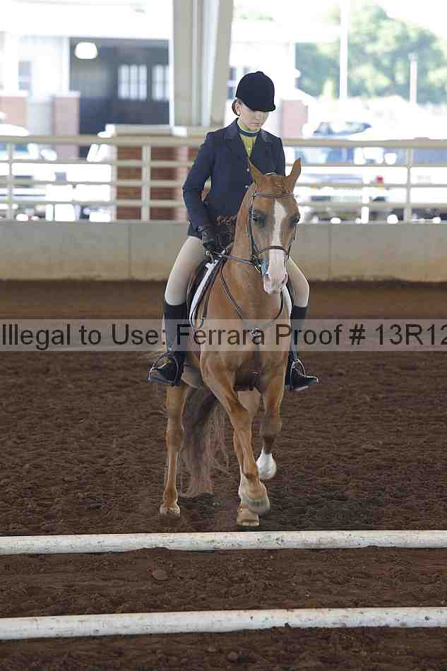 Proof 13r12_0113