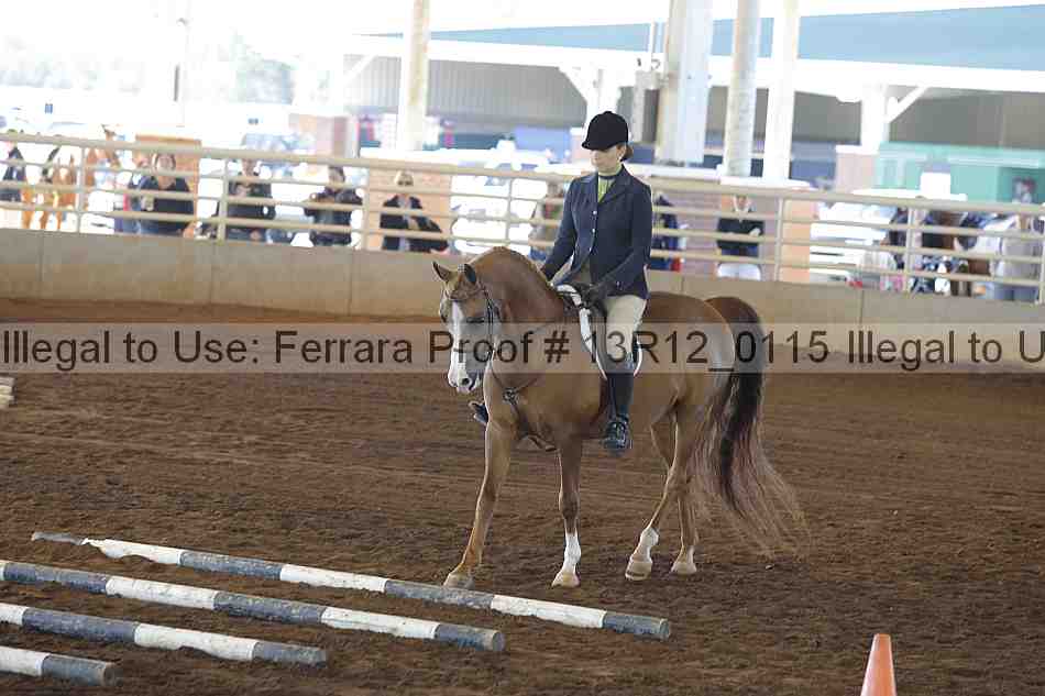 Proof 13r12_0115