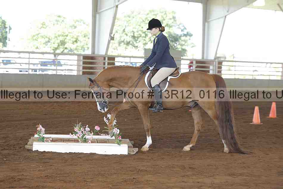 Proof 13r12_0116