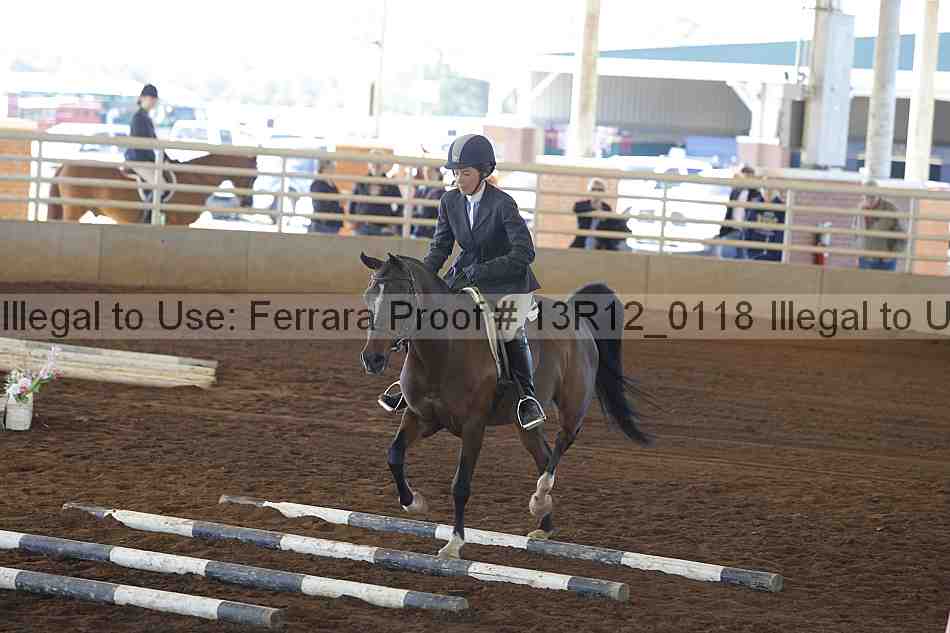 Proof 13r12_0118