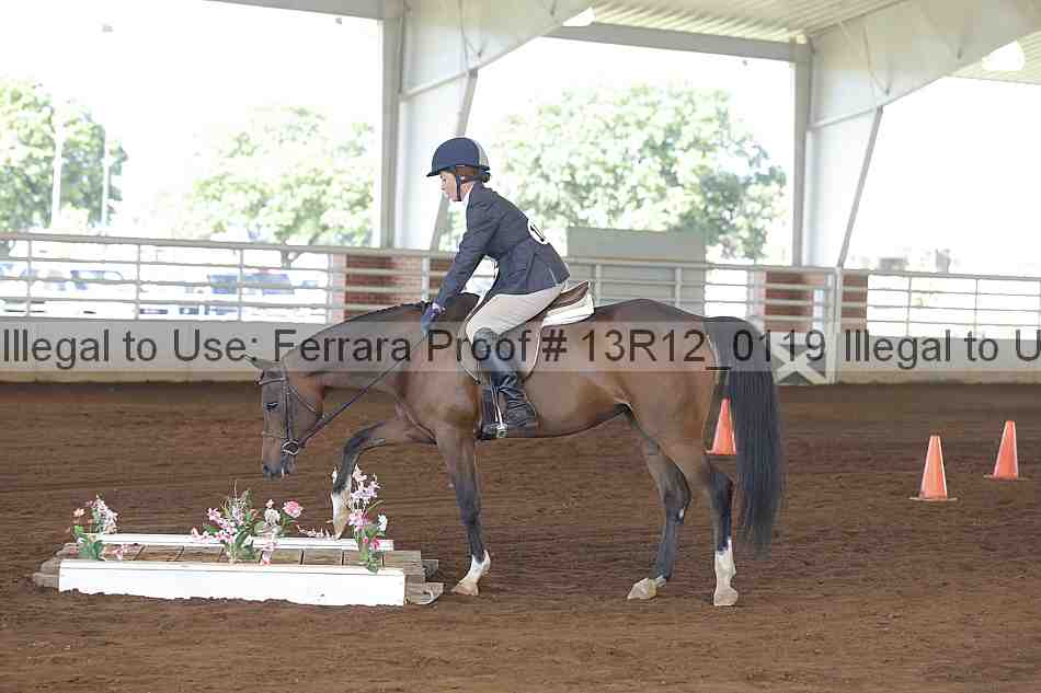 Proof 13r12_0119