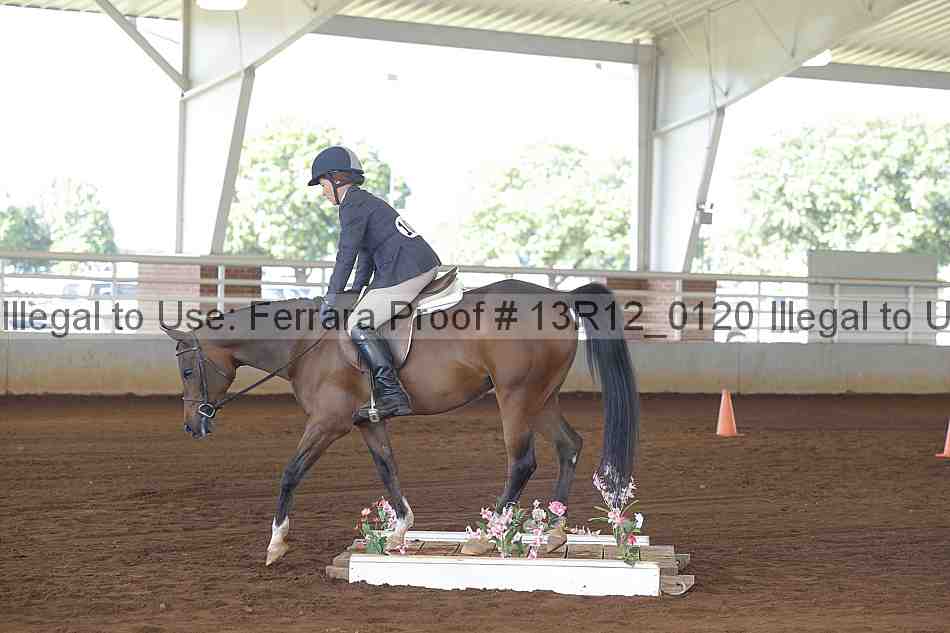 Proof 13r12_0120