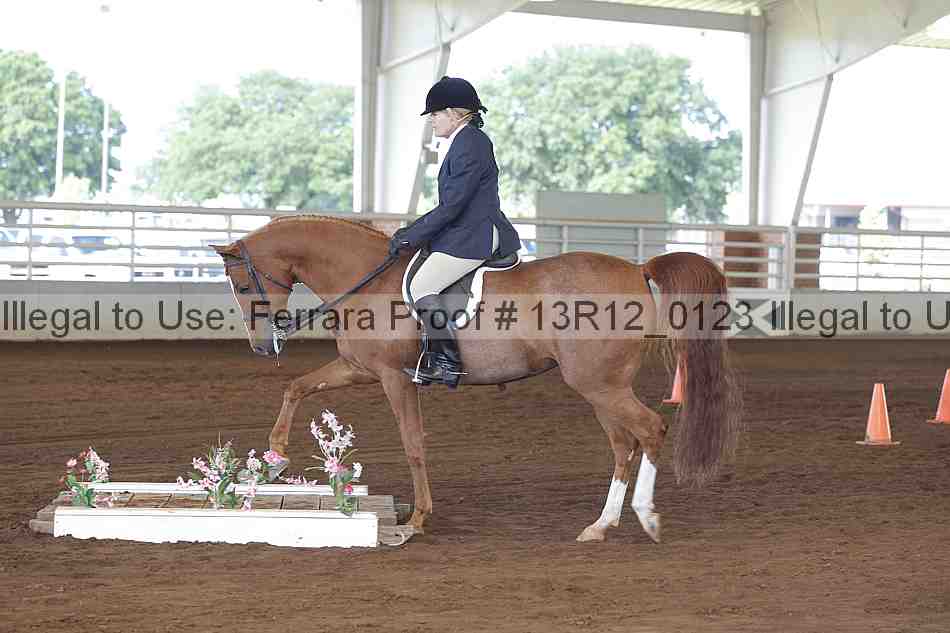 Proof 13r12_0123