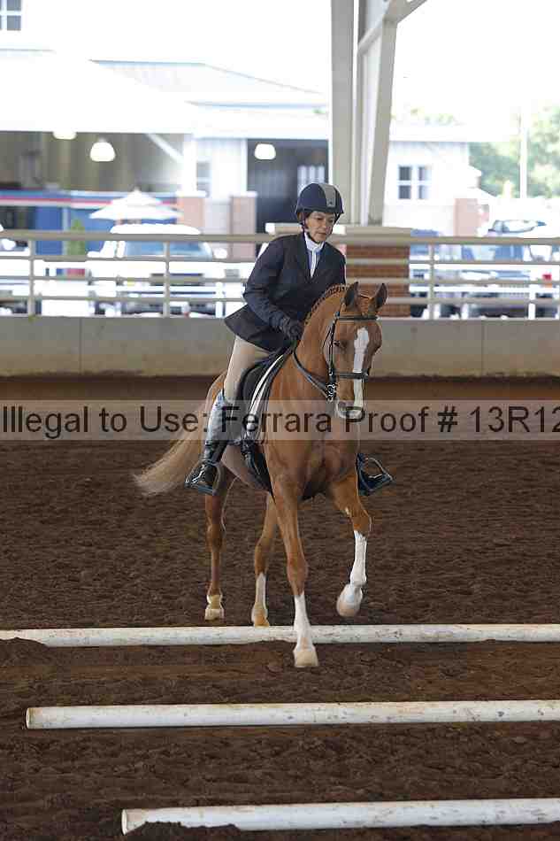 Proof 13r12_0128