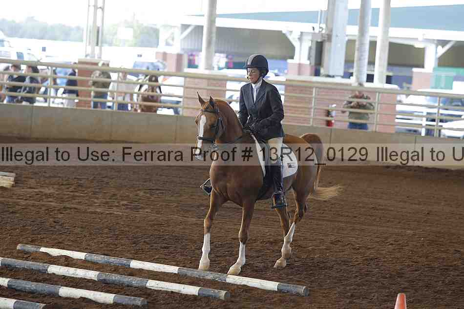 Proof 13r12_0129