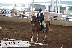 13r12_0129 proof
