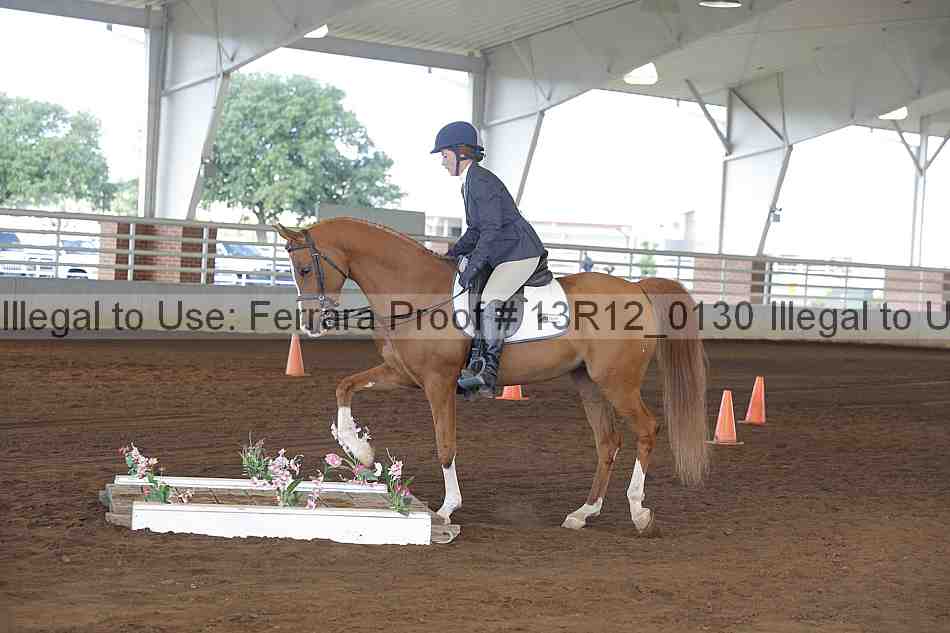 Proof 13r12_0130