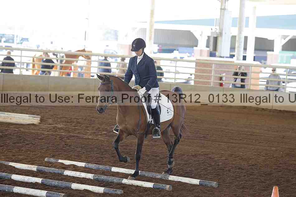Proof 13r12_0133