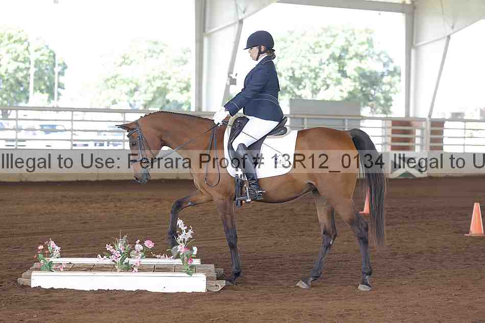 Proof 13r12_0134