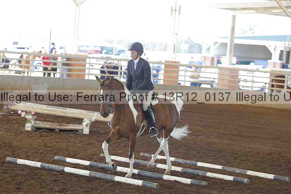 Proof 13r12_0137