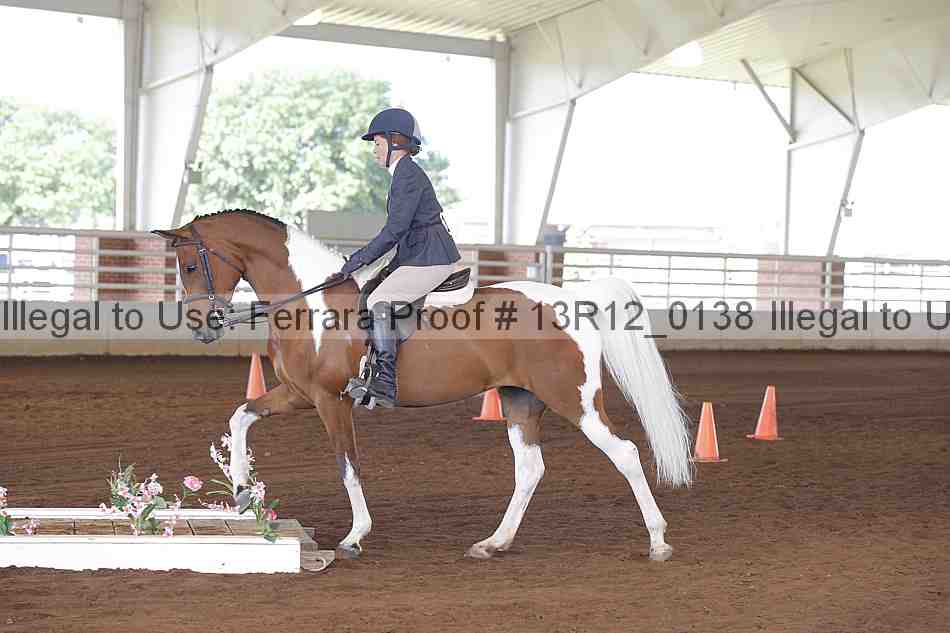 Proof 13r12_0138