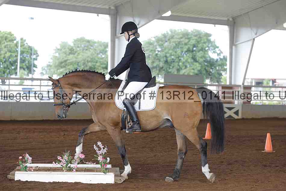 Proof 13r12_0141