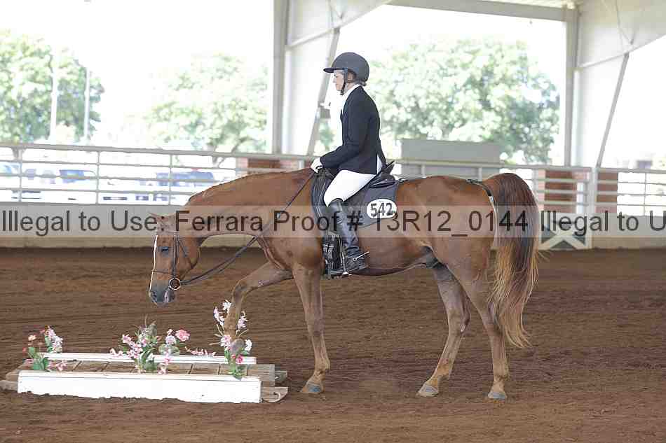 Proof 13r12_0144