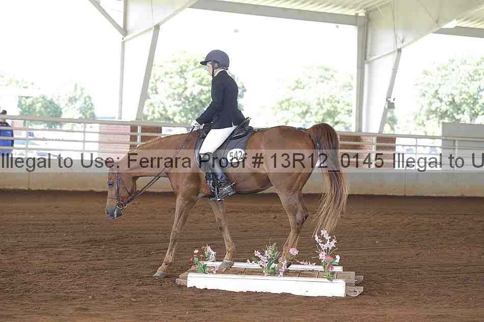 Proof 13r12_0145