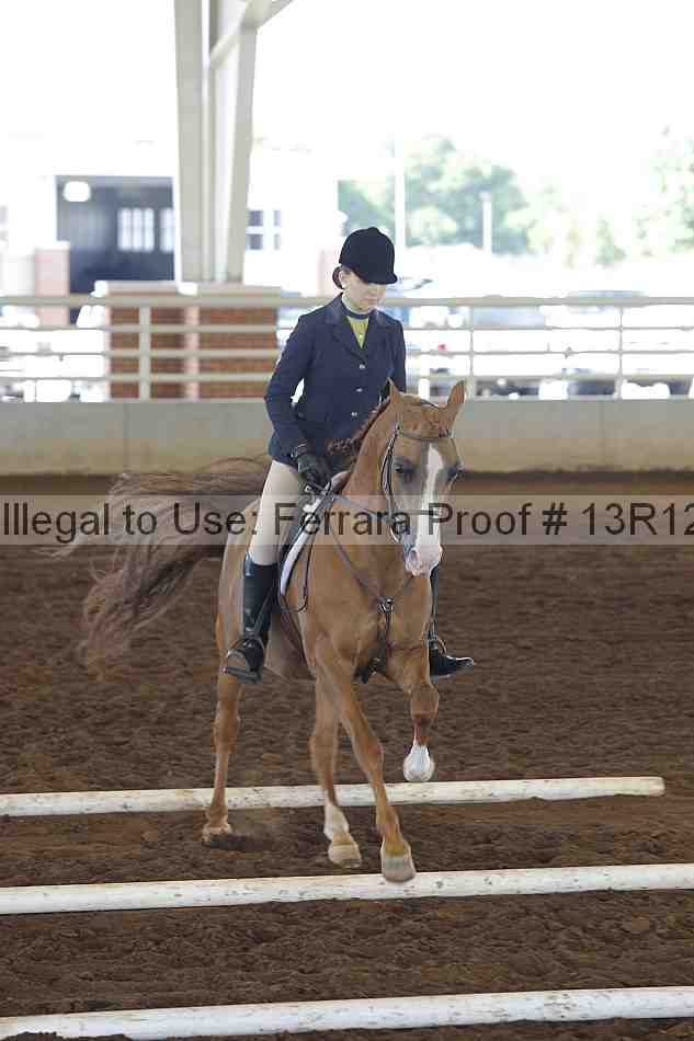 Proof 13r12_0146