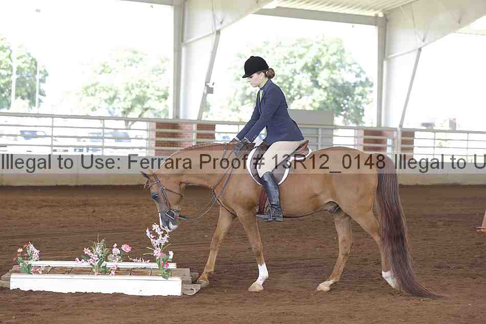 Proof 13r12_0148