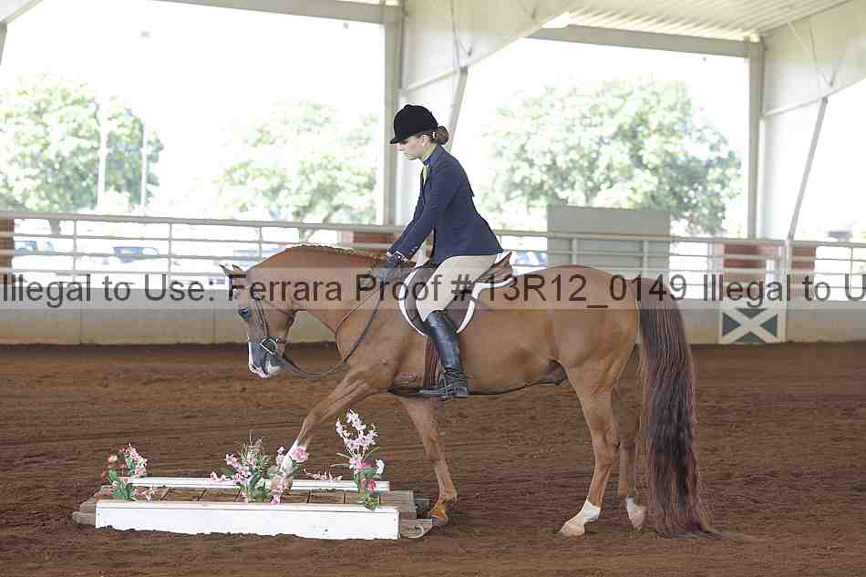 Proof 13r12_0149