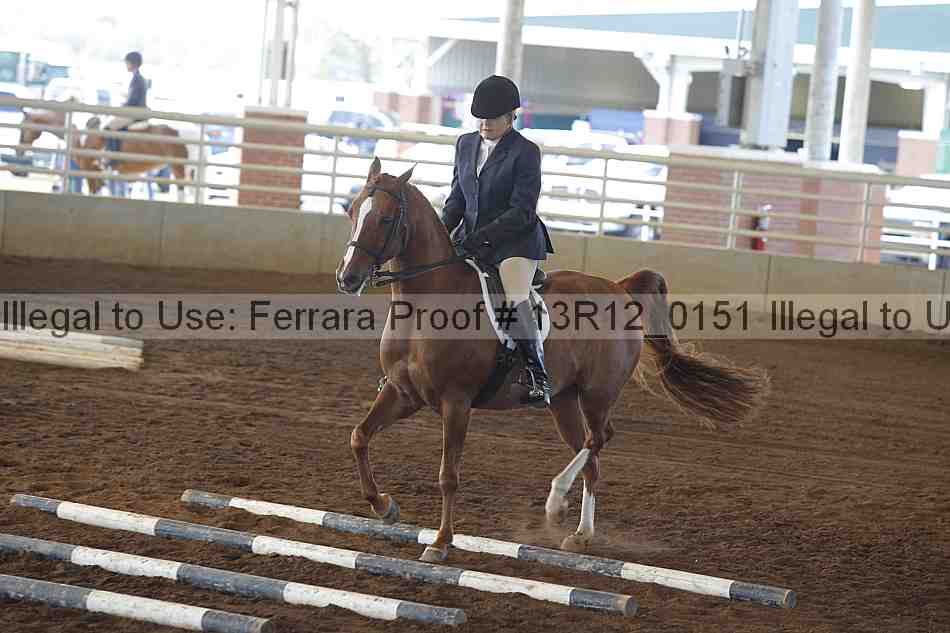 Proof 13r12_0151