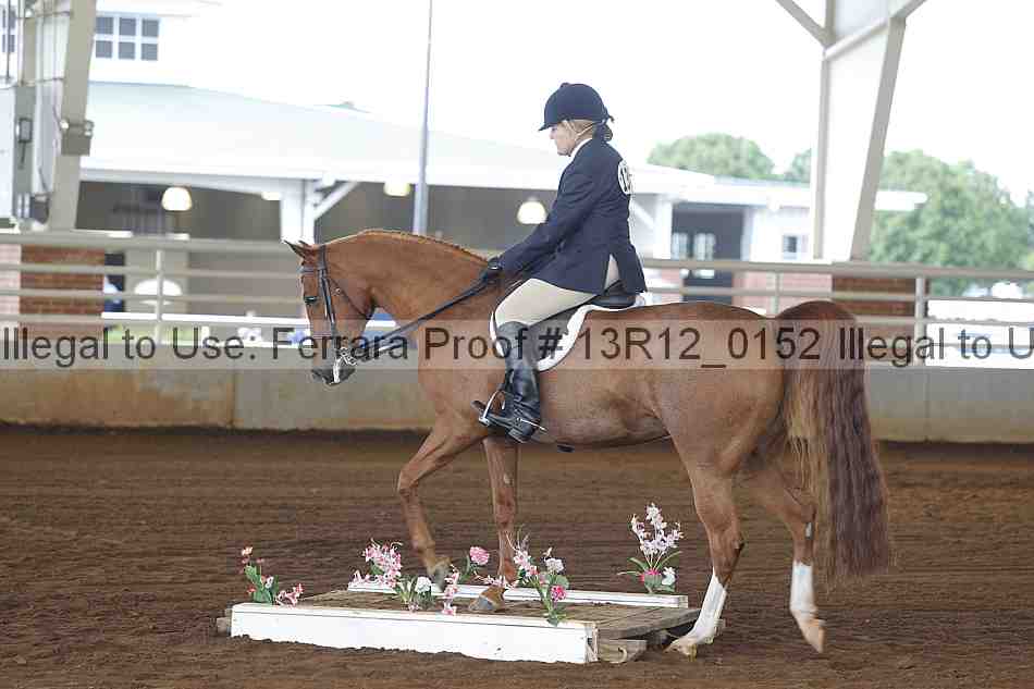 Proof 13r12_0152