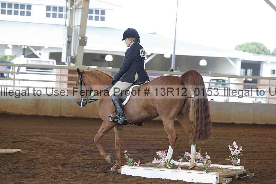 Proof 13r12_0153