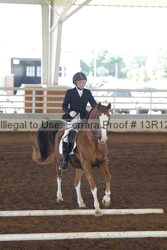 Proof 13r12_0154