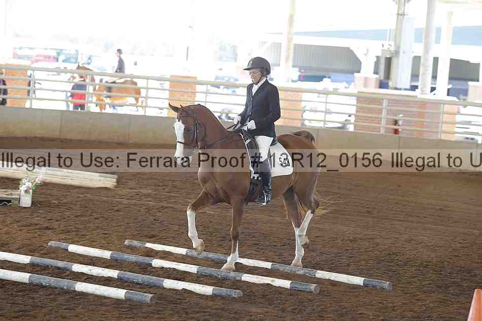 Proof 13r12_0156