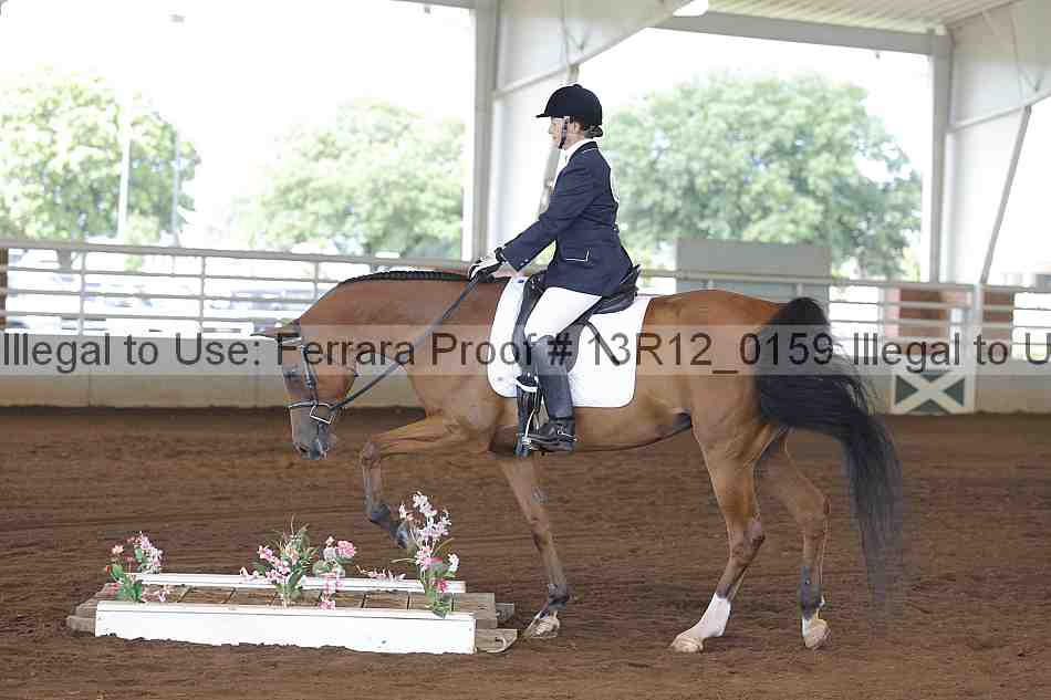 Proof 13r12_0159