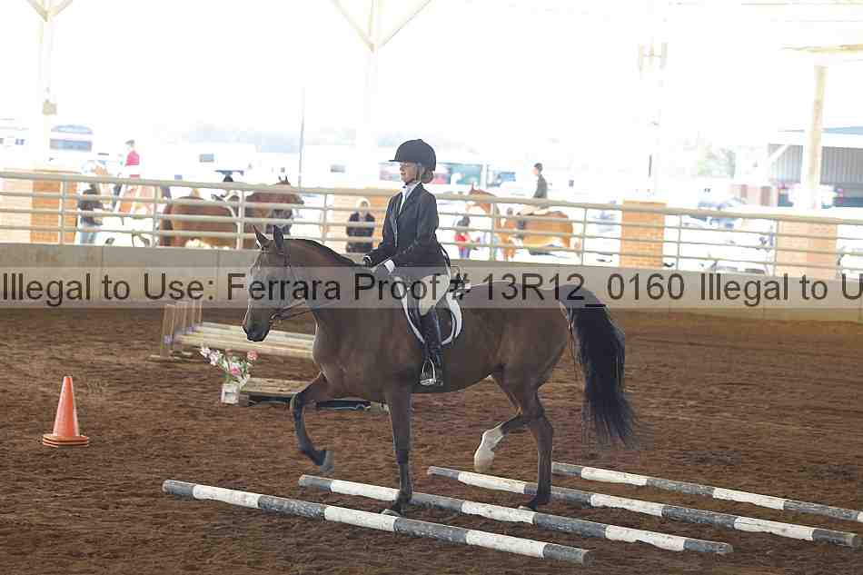 Proof 13r12_0160