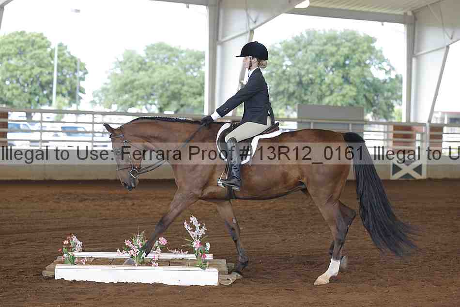 Proof 13r12_0161
