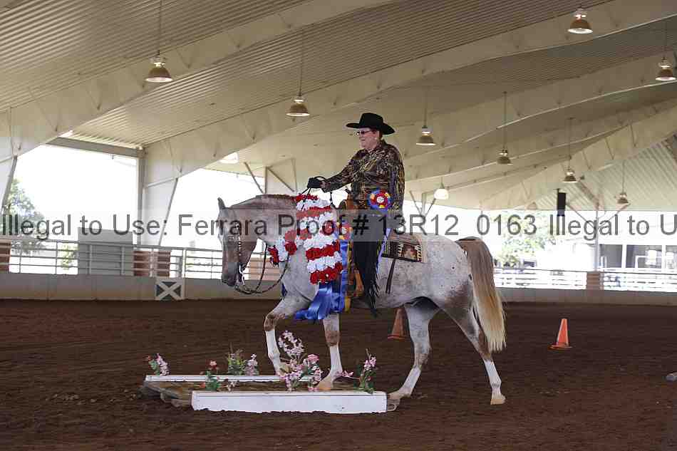 Proof 13r12_0163