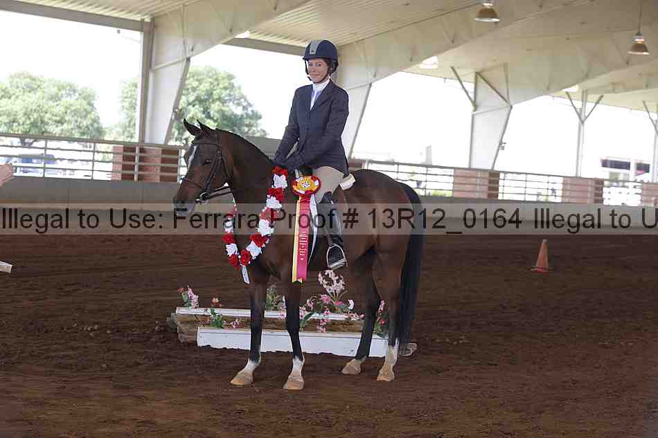 Proof 13r12_0164