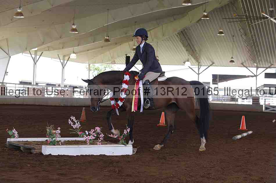 Proof 13r12_0165