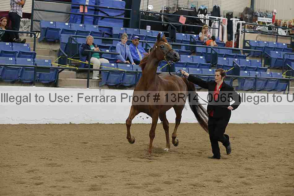 Proof 13r14_0065