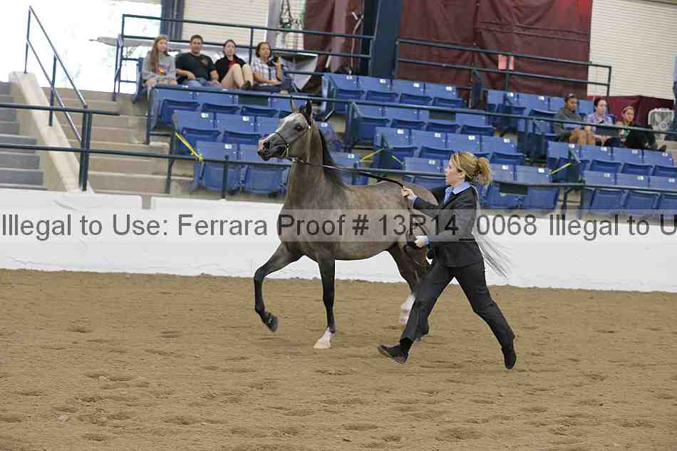 Proof 13r14_0068