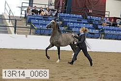 13r14_0068 proof