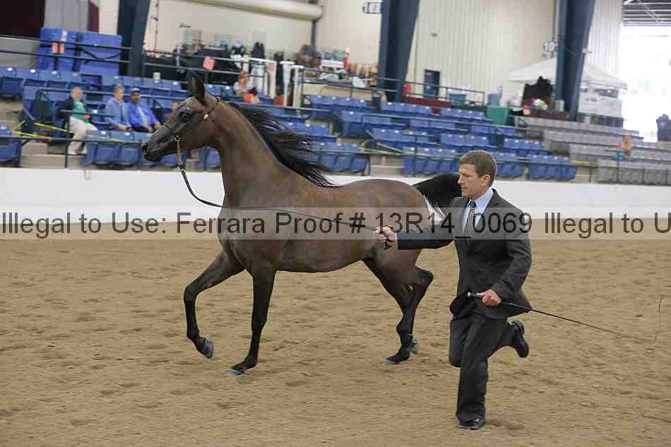 Proof 13r14_0069