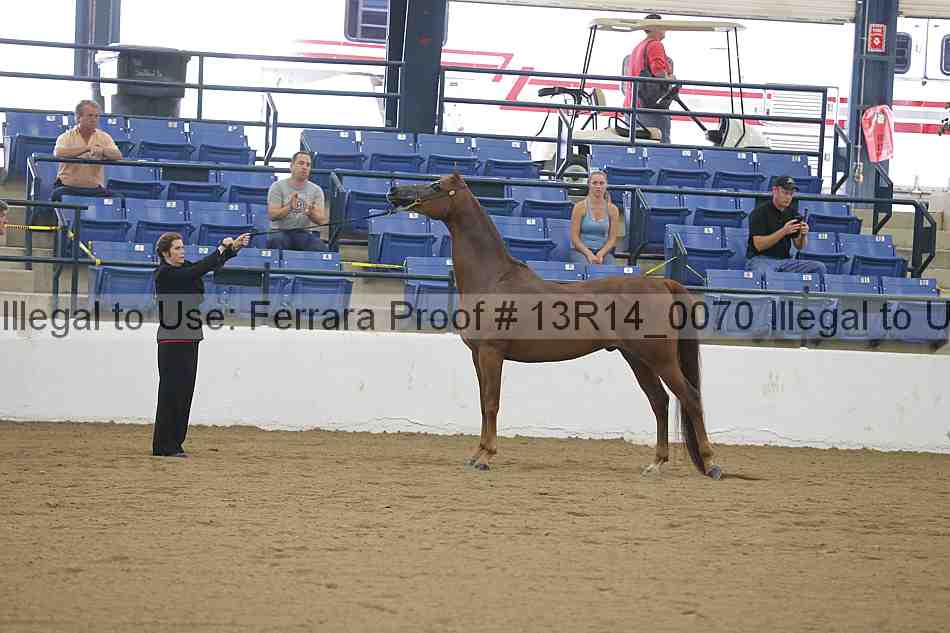Proof 13r14_0070