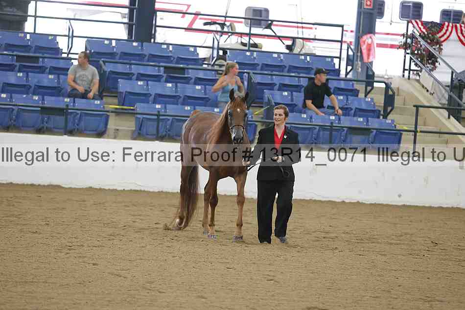 Proof 13r14_0071