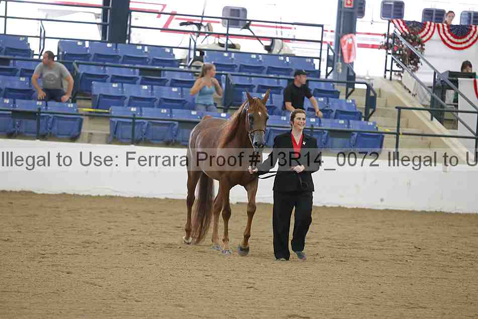 Proof 13r14_0072