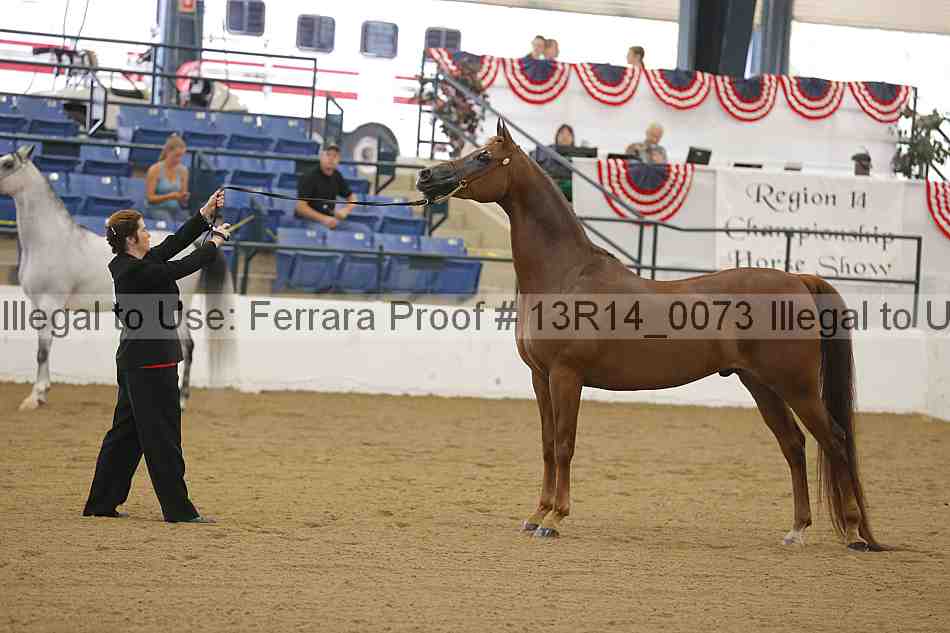 Proof 13r14_0073