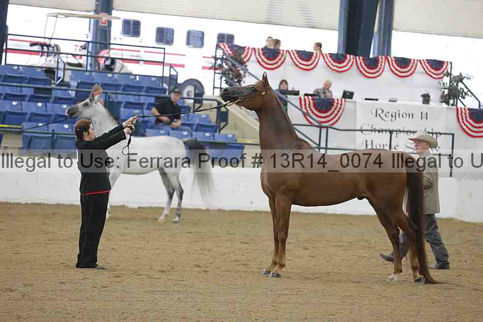 Proof 13r14_0074