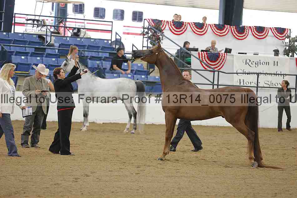 Proof 13r14_0075